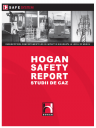 Raportul Hogan Safety - Studii de caz