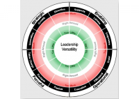 Leadership Versatility Index